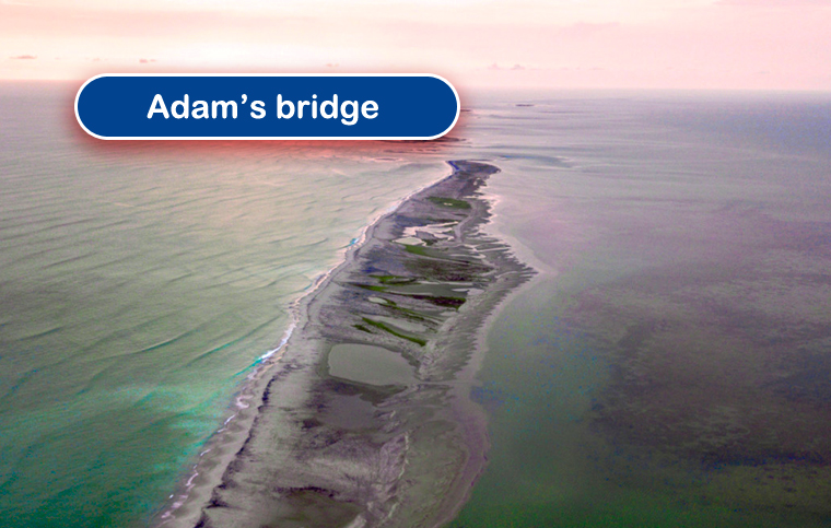 Adam’s bridge