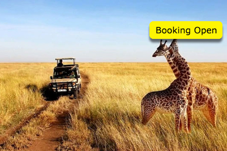 Senior Citizen Kenya Group Tour