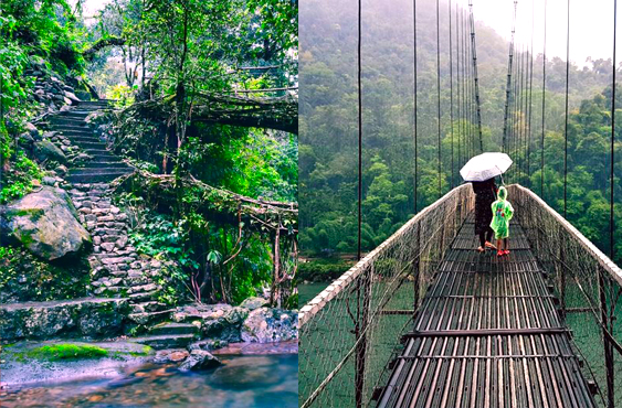 Senior Citizen Meghalaya Shillong Guwahati Group Tour