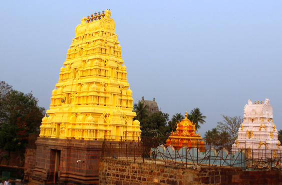 Senior Citizen Mallikarjuna Jyotirlinga Group Tour