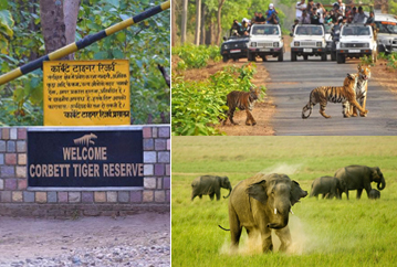 Sightseeing Jim Corbett