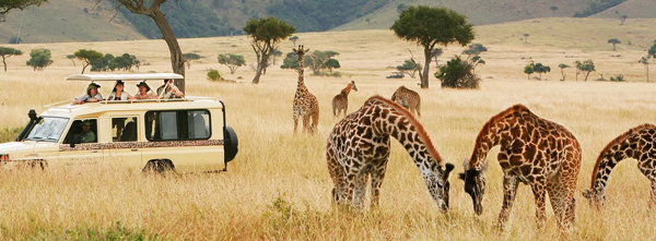 Kenya Senior Citizen Group Tour