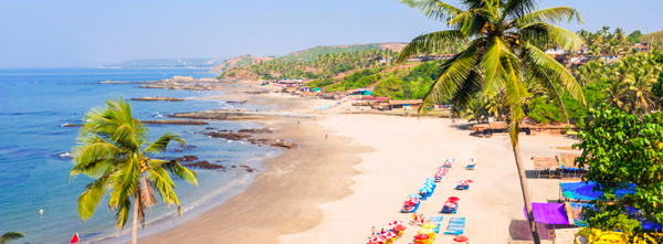 GOA Senior Citizen Group Tour Package