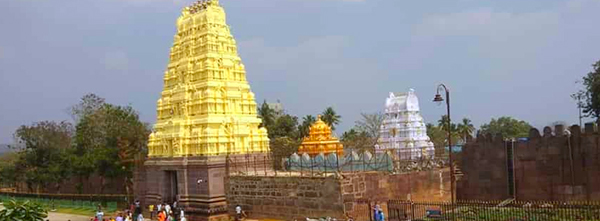 Mallikarjuna Jyotirlinga Tour for Elderly Travelers