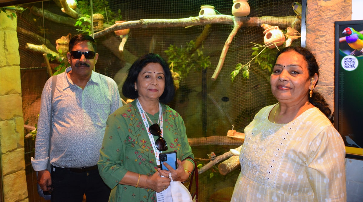 dubai tour packages for Senior Citizen