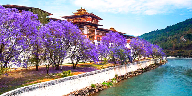 Senior Citizen Bhutan Vacation Tour