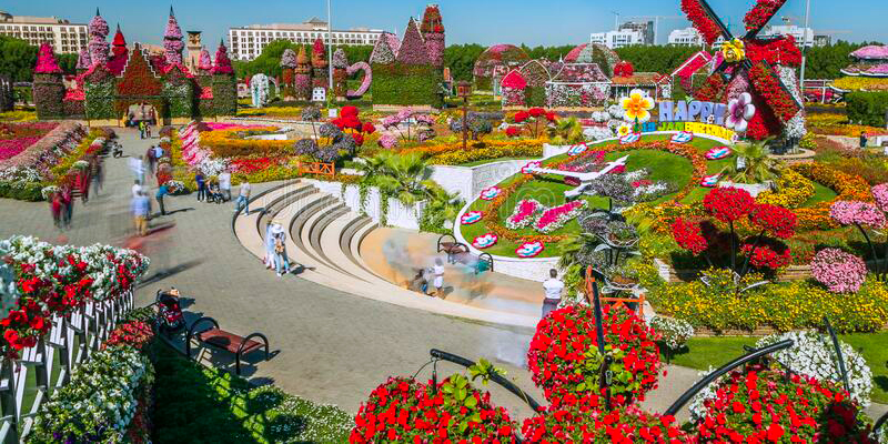 Senior Citizen Miracle Garden Dubai Tour Package