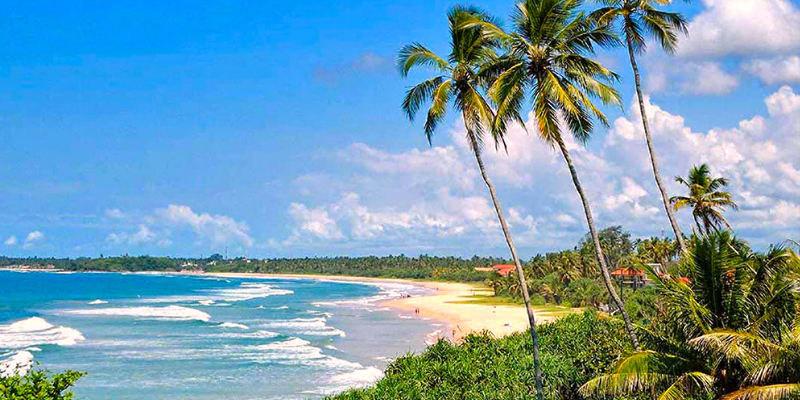 Senior Citizen Sri Lanka Tour Package