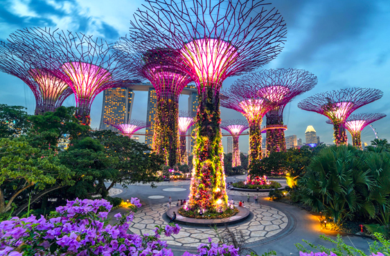 Singapore Group Tour Package