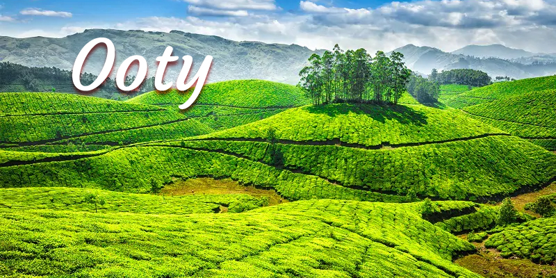 Senior Citizen Ooty Group Tour Package