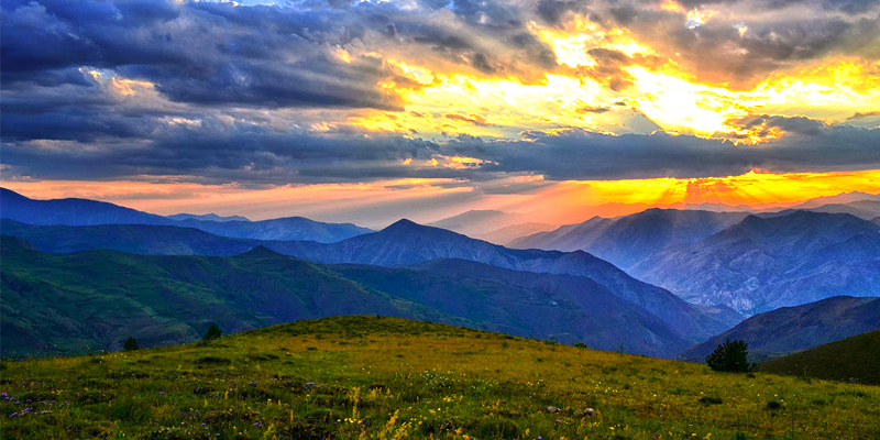Senior Citizen Shimla Group Tour Package