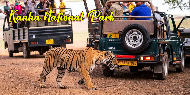 Kanha National Park