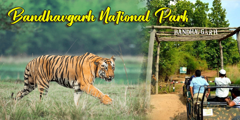 Bandhavgarh National Park