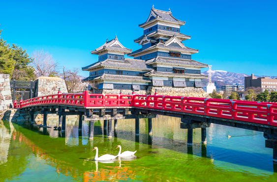 Japan Senior Citizen Group Tour