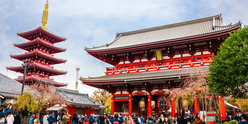 Senior Citizen Japan Group Tour Package