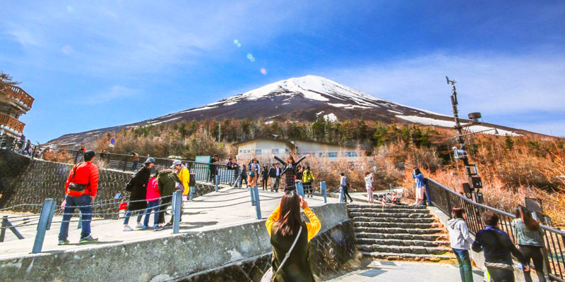 Senior Citizen Japan Group Tour Package