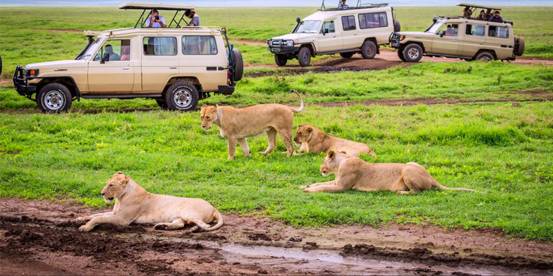 Senior Citizen Kenya Group Tour