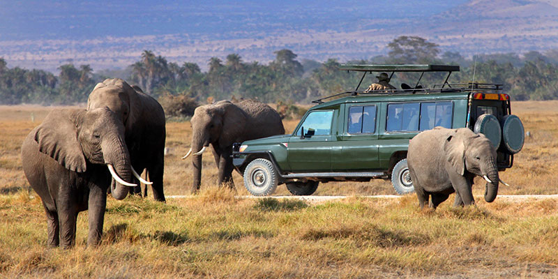 Senior Citizen Kenya Group Tour Package