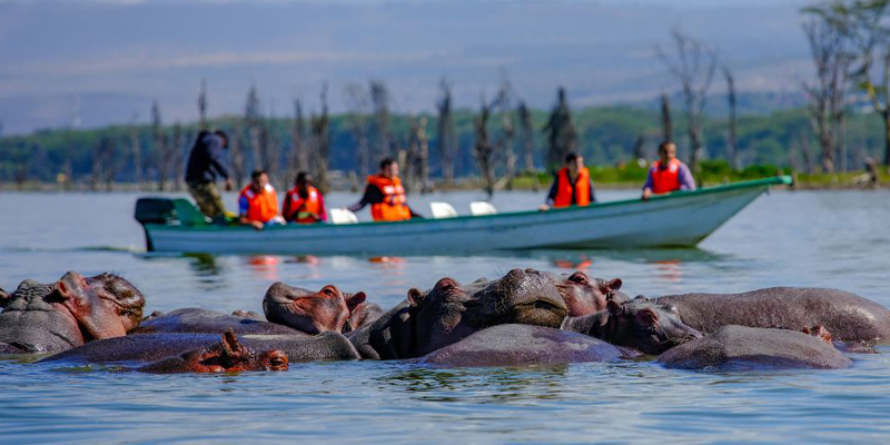 Senior Citizen Kenya Group Tour Package