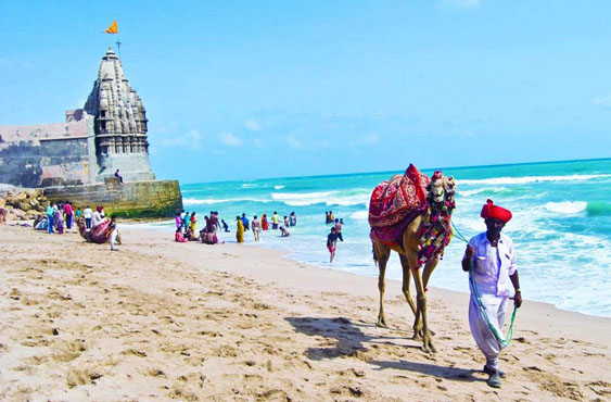 Senior Citizen GUJARAT Holiday package