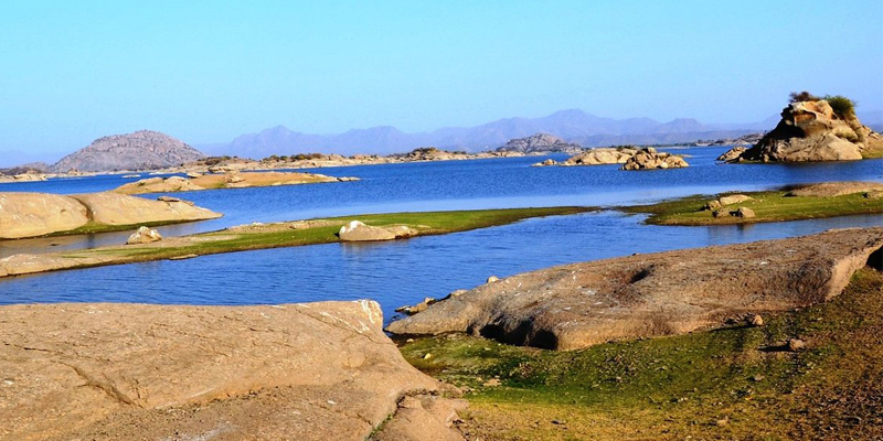 Senior Citizen Jawai Group Tour Package