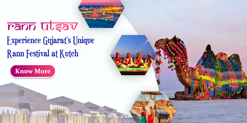 Senior Citizen Rann Utsav Gujarat Group Tour Package