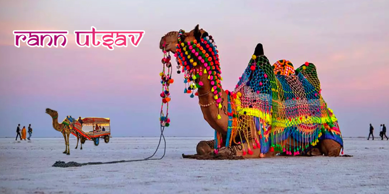 Senior Citizen Gujarat Vacation Tour