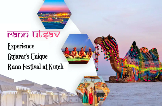 Senior Citizen Gujarat Group tour with Rann of Kutchh