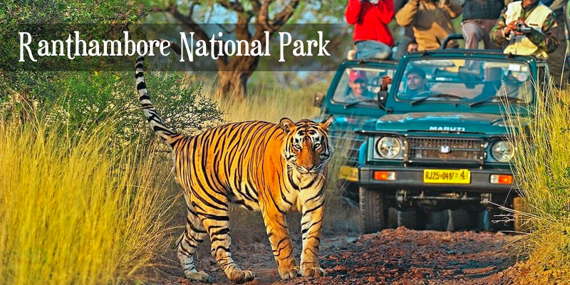 anthambore National Park