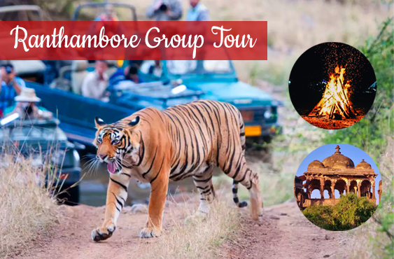 Senior Citizen Ranthambore Group Tour