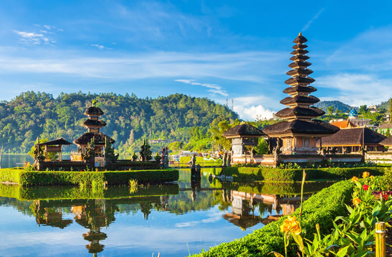 bali Group Tour Package