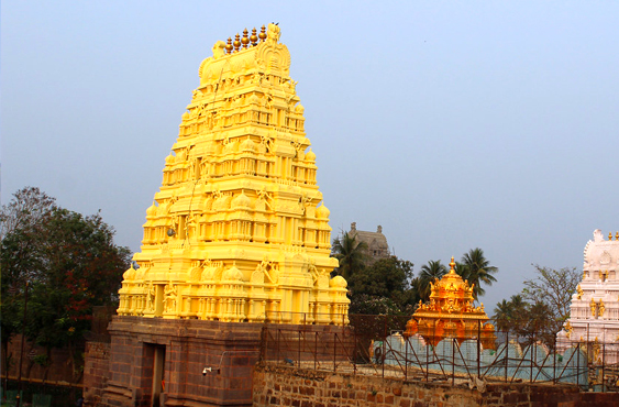 Mallikarjuna Jyotirlinga Tour Package