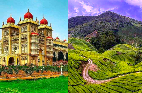 Senior Citizen Mysore - Coorg - Ooty Tour package