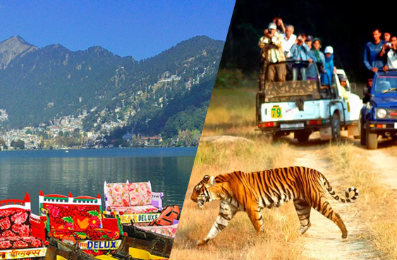 Senior Citizen Nainital Tour Packages