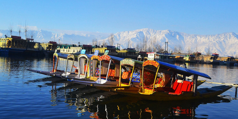 Senior Citizen kashmir Group Tour Package